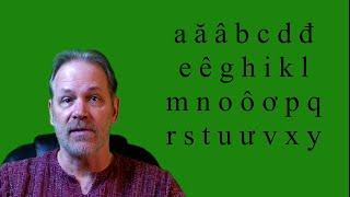 How to Read Vietnamese - Adam Burgess