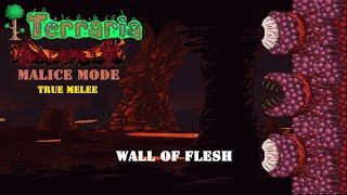 Terraria Calamity Malice mode True melee Wall Of flesh