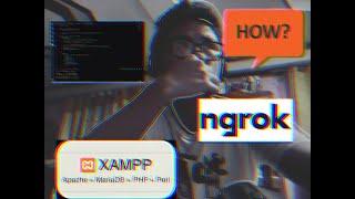 What is Ngrok? What are the advantage of Ngrok? When do we use Ngrok?