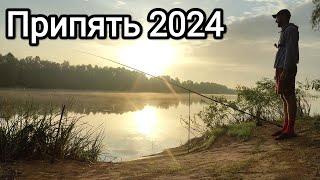 Рыбалка на Припяти 2024 | Сом Ликует |