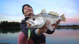 SYDNEY JEWFISH Dreams Do Come True! | A Long Day's Grind Pays Off On Parramatta River!