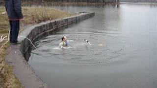 Водная ласточка на Мелекеске начало Камиль 01 (Waterbird)