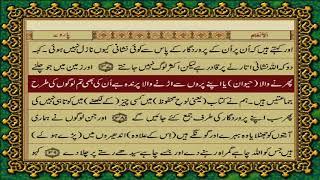 6 SURAH ANAAM JUST URDU TRANSLATION WITH TEXT FATEH MUHAMMAD JALANDRI HD