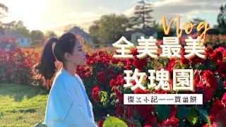 【阿乖Vlog】美國復工小記｜全美最美玫瑰園什麼樣？