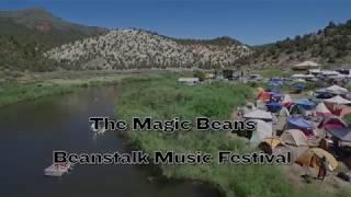 The Magic Beans - Set One - 2017 Beanstalk Music Festival