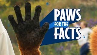 Fetch: Paws for the Facts (full version)