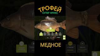 Трофей Супер Фрикс !!! #рр4 #рыбалка #carpfishing #carp #трофей #fishing #медное #фарм