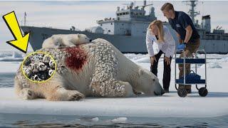 Rescuers saved a mother polar bear injured by millions of barnacles just in time.