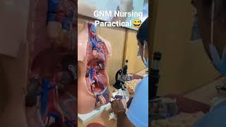 ||GNM paratical in lab but first time in lab gona wrong || whatsapp status||#gnm #anm #nursing