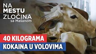 Na mestu zločina sa Mašanom - 19.9.2024.