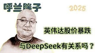 呼兰胖子：英伟达股价暴跌与DeepSeek有关系吗？