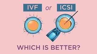 IVF or ICSI, which is better for you?
