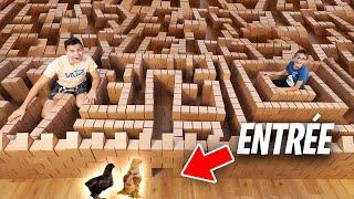 LABYRINTHE GÉANT EN CARTON POUR NOS POUSSINS 