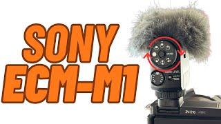 Das perfekte Sony Alpha Mikrofon? Sony ECM-M1 - Digitales Richtmikrofon ohne Akku/Batterie im Test