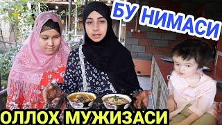 ЖАННАТ РАЙХОНЛАРИ КИЛГАН ОВКАТ...КУРИНГ ФАКАТ ЕГЛАМАНГ