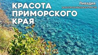 Красота Приморского края, море, утро, солнце. Ливадия. куда поехать отдохнуть. #блогВладивосток