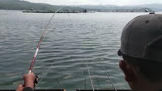 Kenyataan Mancing Di Waduk Wadaslintang