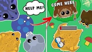 DESTROYING TOXIC TEAMERS in MOPE.IO