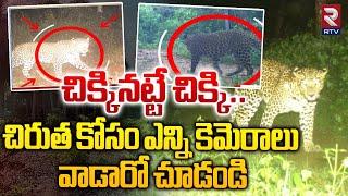 చిరుత జాడ ఏమైంది..?  | Search operation For Leopard in Rajahmundry | CCTV Visuals | RTV