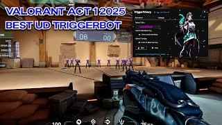 Best Valorant TriggerBot Legit Hacking ACT 1 2025  (UD)