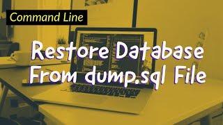 Restore Database From Command Line Using Dump File in Odoo