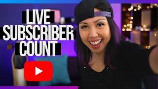 How To See Your Live Subscriber Count on YouTube #shorts