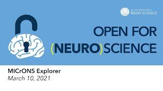 Open for (neuro)science tutorials: MICrONS Explorer