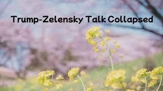 No. 63.  Trump-Zelensky Talk Collapsed.  Mar. 04. 2025