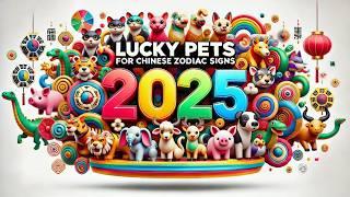 2025  Lucky Pets For Each Chinese Zodiac Sign From (RAT to PIG) | Find Your Fortune Animal!