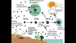 Aerosols and Rain