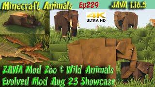 ZAWA Mod Zoo and Wild Animals Evolved Mod Showcase Aug23 Update JAVA 1.16.5 Minecraft Animals Ep229