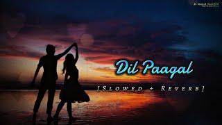 Dil Paagal [Slowed + Reverb] | Laqshay Kapoor, Mukund Suryawanshi | JS Musical World #viralvideo