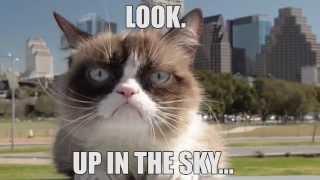 Grumpy Cat In The Sky!?!