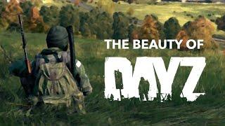 The BEAUTY Of DAYZ | Cinematic Video