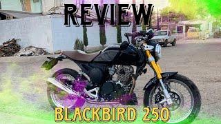 blackbird 250 2022| review|fachaendosruedasMX