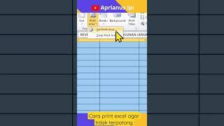 cara print excel agar tidak terpotong