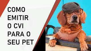 Como emitir o CVI para viajar com seu pet