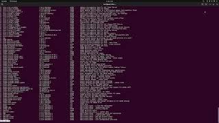 How to uninstall any program application in Linux Ubuntu using terminal