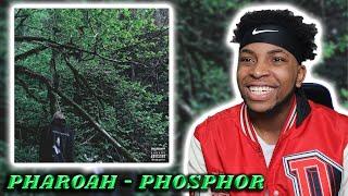 FIRST TIME REACTING TO PHARAOH PHOSPHOR FULL ALBUM || THIS IS WHAT STARTED IT ALL