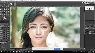 GIMP Tutorials for Face Swap