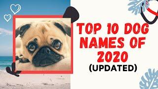 Top 10 Most Popular Dog Names In 2020 With Meanings ! Unique Pet Names