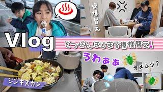 Vlogかんなさんお部屋の模様替えでカメムシ出た～！？年始の１日