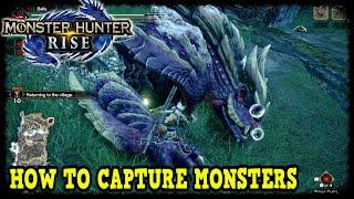 Monster Hunter Rise How to Capture Monsters (Tips & Tricks)