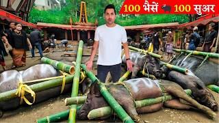 World’s Most EXPENSIVE and EXTREME Funeral | 100 Buffalo, 100 Pigs | TORAJA, INDONESIA  (Hindi)