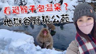 一個人日本旅行｜可愛い猿温泉に入る️ 日本長野地獄谷野猿公苑 (Jigokudani Wild Monkey Park)