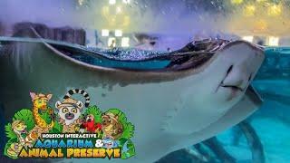 Our Trip to the Houston Interactive Aquarium & Animal Preserve