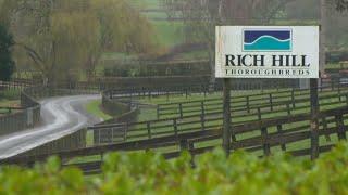 Rich Hill Stud in NZ to celebrate 30th anniversary in 2024