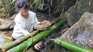 Generate free electricity with water | Ly Thi Duyen