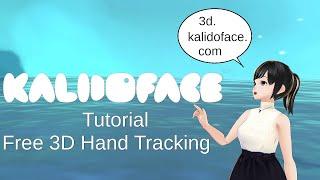 Kalidoface3D Is Worth [3D VTuber Hand Tracking]
