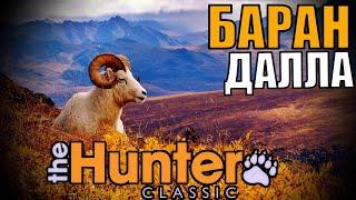 the hunter classic обзор барана далла